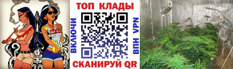  Cocaine Вельск