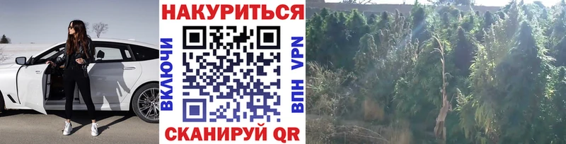 Магазин наркотиков Вельск Alpha-PVP  АМФ  COCAIN  ГАШ  ссылка на мегу tor  Меф  Канабис 
