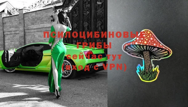 ГАЛЛЮЦИНОГЕННЫЕ ГРИБЫ Гусев