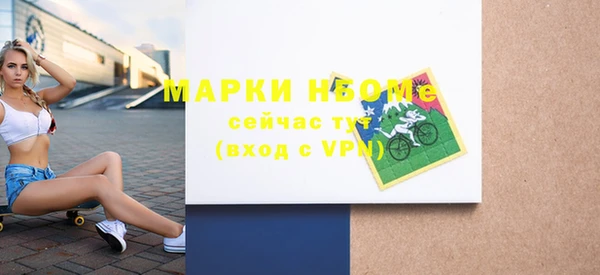 ГАЛЛЮЦИНОГЕННЫЕ ГРИБЫ Гусев