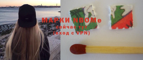 ГАЛЛЮЦИНОГЕННЫЕ ГРИБЫ Гусев