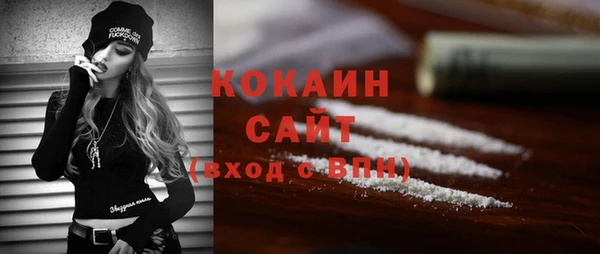 ГАЛЛЮЦИНОГЕННЫЕ ГРИБЫ Гусев