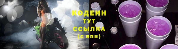 ГАЛЛЮЦИНОГЕННЫЕ ГРИБЫ Гусев