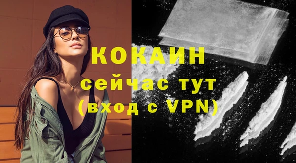 ГАЛЛЮЦИНОГЕННЫЕ ГРИБЫ Гусев