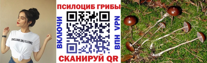 Псилоцибиновые грибы MAGIC MUSHROOMS  Вельск 